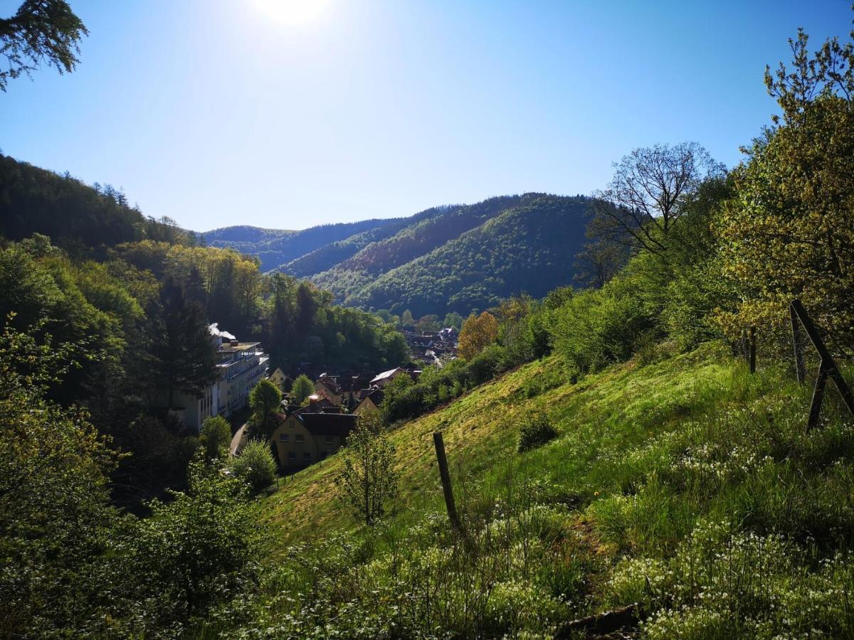 Sonnige 60M² Ferienwohnung Fur 5 Personen Bad Lauterberg Exterior photo